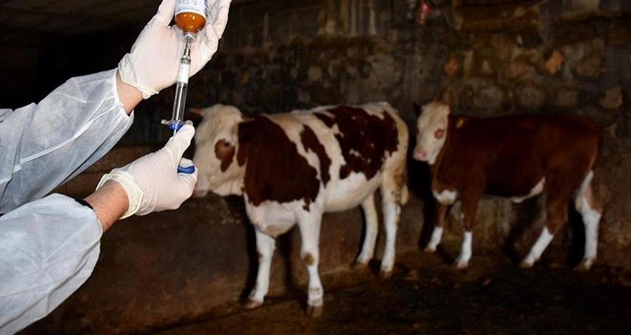 bir sehir sap alarmina gecti Kff7J5Kr