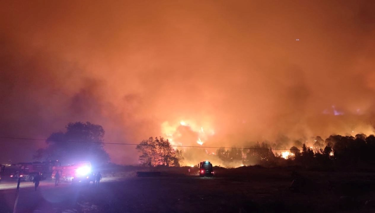 bursada orman yangini ILxpMazF