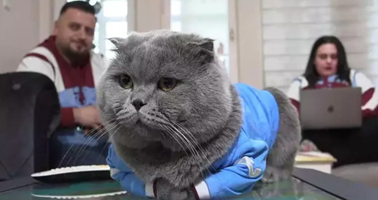 fanatik kedi toma stadyumda mac izlemek icin izin cikti xXskiLbi