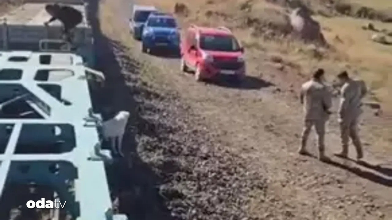 karsta yuk treni 5 buyukbas hayvana carpti bbvVGcPP