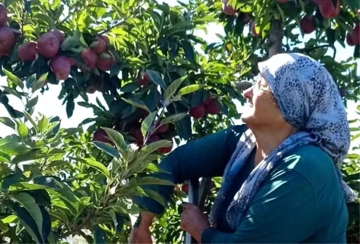 golyakada elma hasadi suruyor EybNG5aC