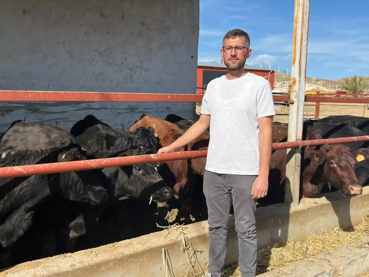 kirsalda bereket projesi ile hayvanciliga destek RdCZZQtY.jpg