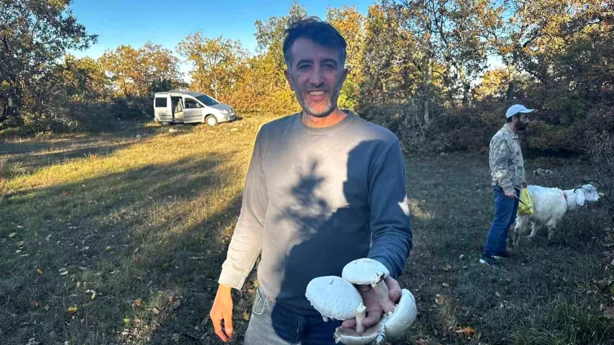 bilecikte mantar sezonu basladi 3iyTJMfr.jpg