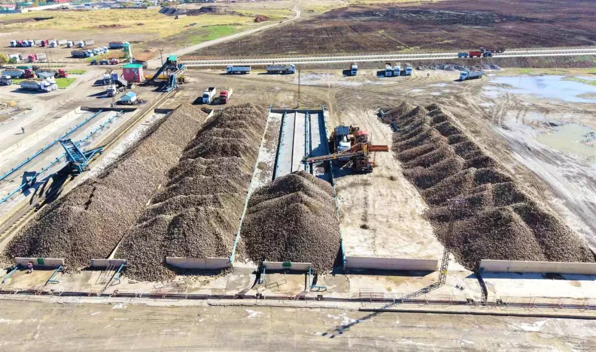 musta seker pancari hasadi basladi qZ9U6iN6.jpg