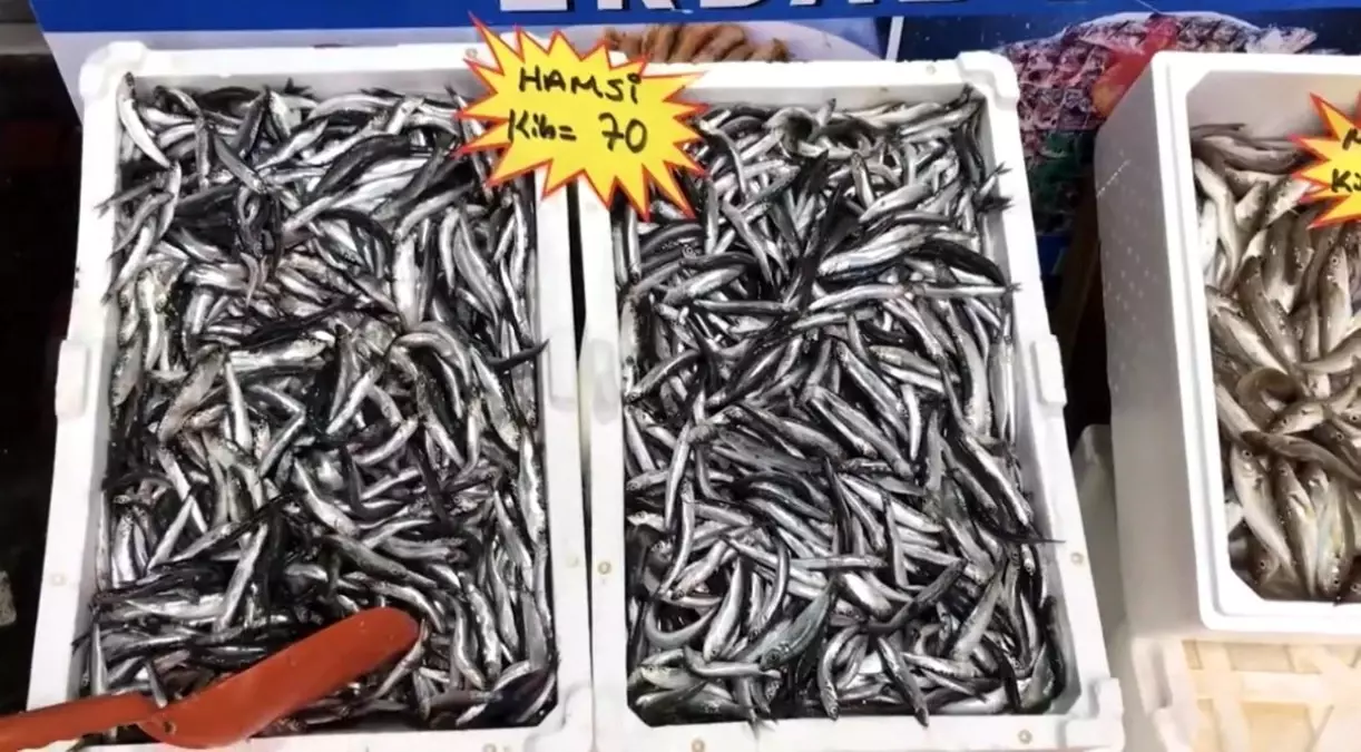 taze balik tuketin uyarisi 5RDRKwIw.jpg