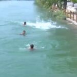 Haber gorseli